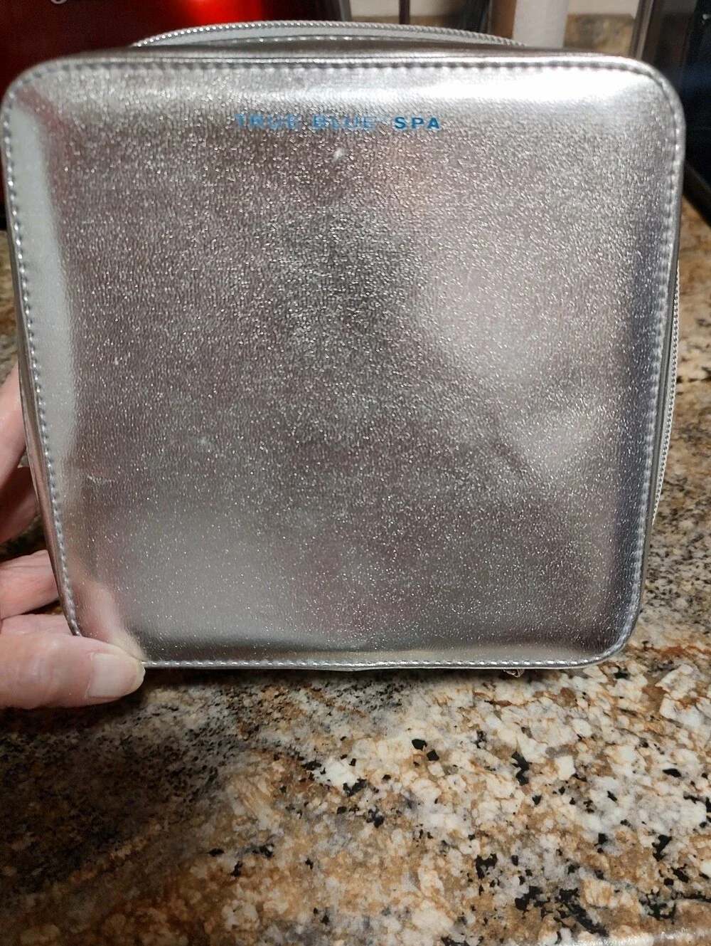 Metallic Silver Cosmetic Case